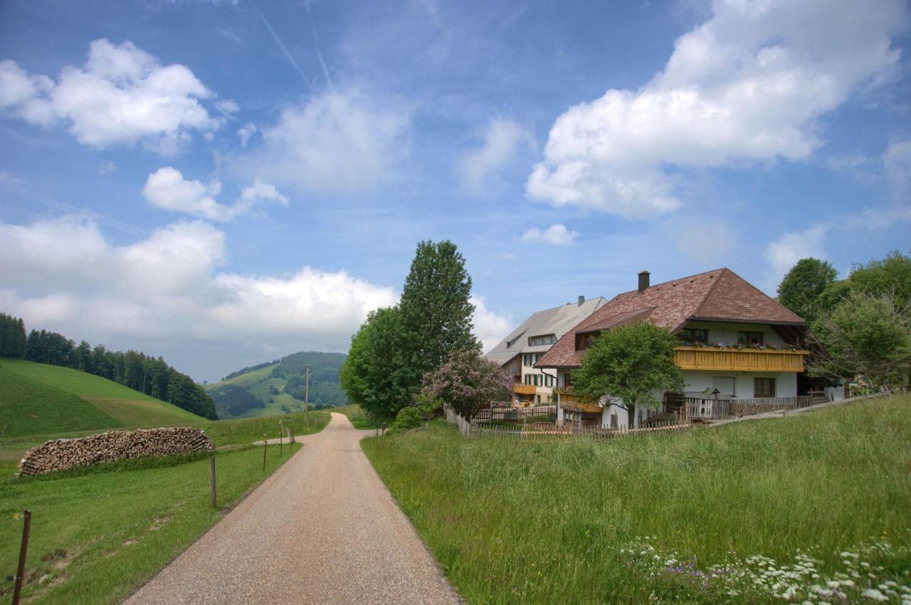 Mittlerer Itzenwaldhof - Heimkehr Leilighet Münstertal Eksteriør bilde