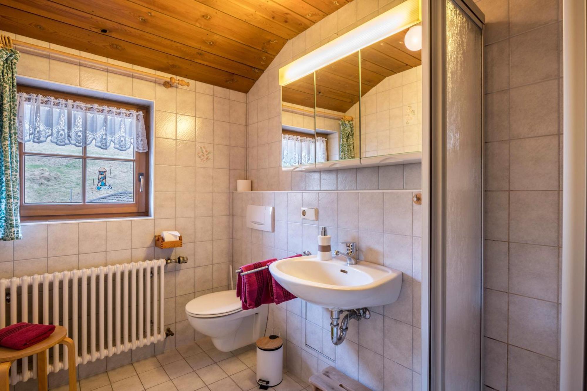 Mittlerer Itzenwaldhof - Heimkehr Leilighet Münstertal Eksteriør bilde